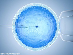 包生男孩第三代试管